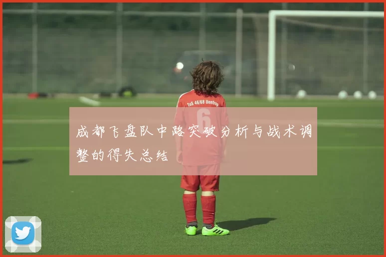 成都飞盘队中路突破分析与战术调整的得失总结