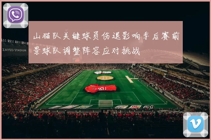 山猫队关键球员伤退影响季后赛前景球队调整阵容应对挑战