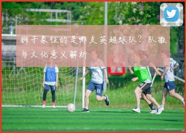 狮子象征的是哪支英超球队？队徽与文化意义解析