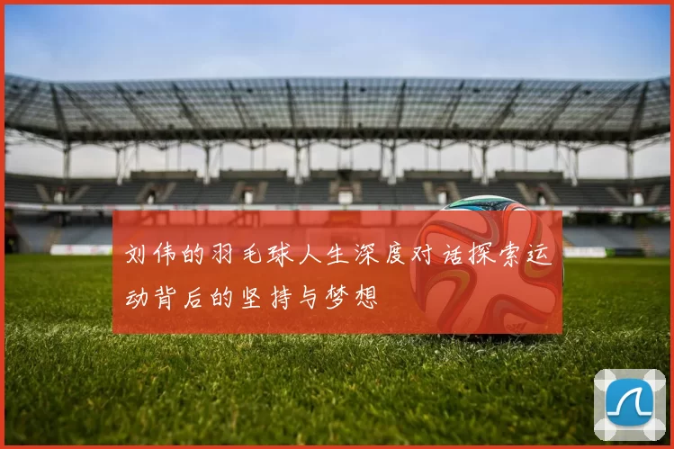 刘伟的羽毛球人生深度对话探索运动背后的坚持与梦想