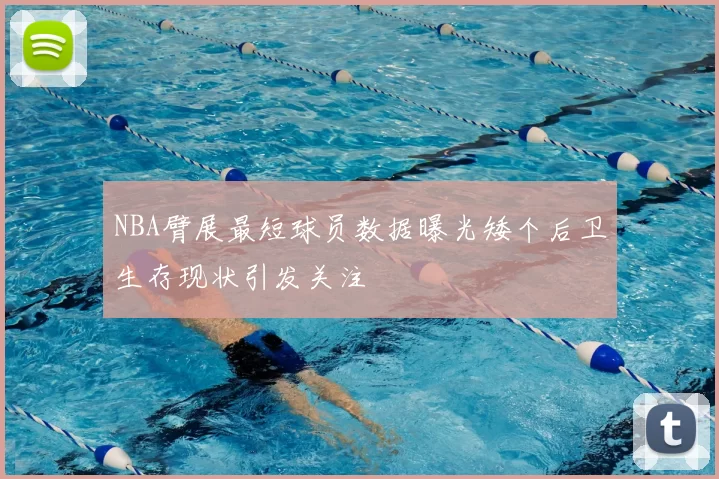 NBA臂展最短球员数据曝光矮个后卫生存现状引发关注