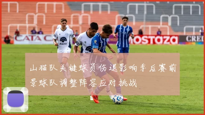 山猫队关键球员伤退影响季后赛前景球队调整阵容应对挑战