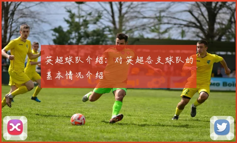 英超球队介绍：对英超各支球队的基本情况介绍
