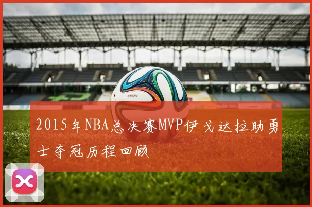 2015年NBA总决赛MVP伊戈达拉助勇士夺冠历程回顾